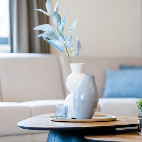 VAKANTIEHUIS 6 personen - 6CE Hoevewoning