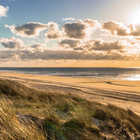 Landal Schuttersbos - Camping Terschelling - Afbeelding N°3
