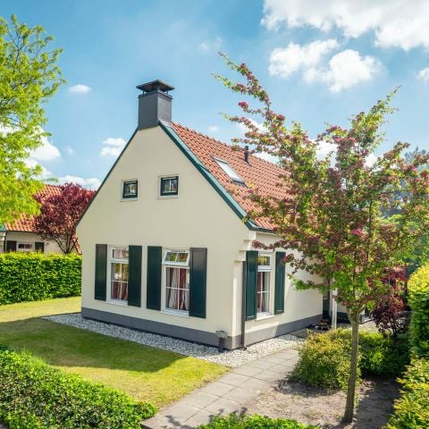 Bungalow 8 personen - 8CE