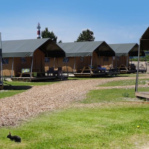 Safaritent 4 personen