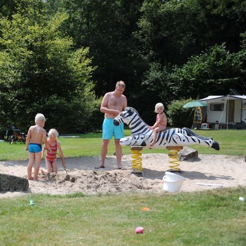 Veluwecamping 't Schinkel - Camping Apeldoorn - Afbeelding N°6
