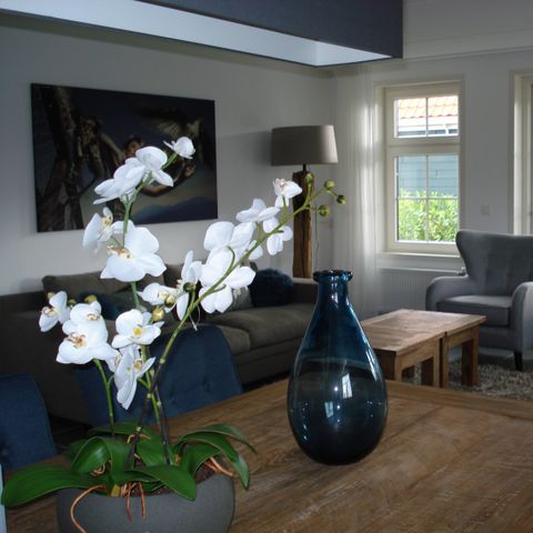 Bungalow 8 personen - Waterland (6-8)