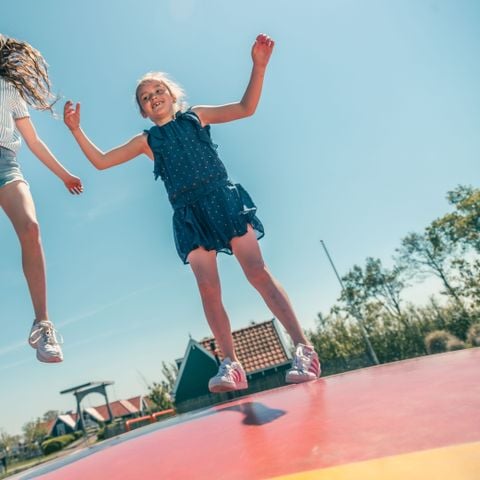 Groepsaccommodatie 10 personen - Beemsterdijk met Sauna