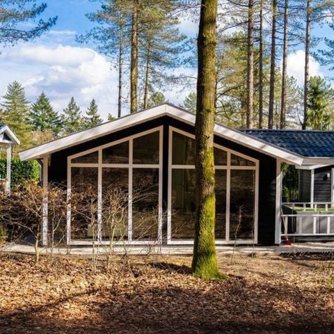 LANDHUIS 6 personen - Cottage Heuvelrug