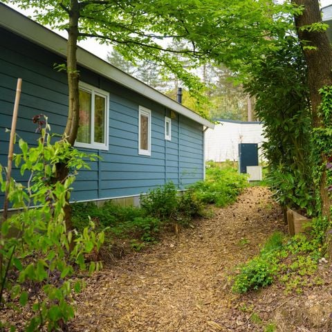 LANDHUIS 4 personen - Bos Cottage met hottub