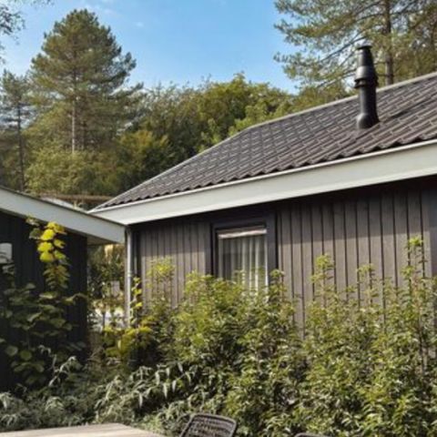 LANDHUIS 4 personen - Cottage Bos Deluxe