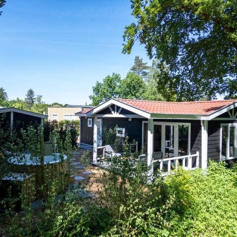 Lodge 4 personen - Wellness de Heuvelrug