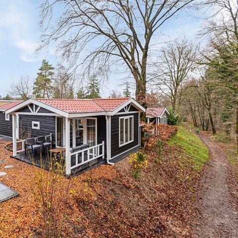 Lodge 4 personen - Wellness de Heuvelrug