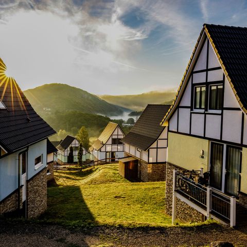 Dormio Resort Eifeler Tor - Camping Noordrijn-Westfalen - Afbeelding N°5