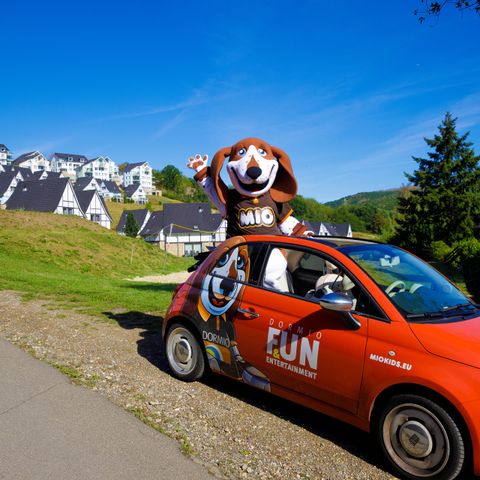 Dormio Resort Eifeler Tor - Camping Noordrijn-Westfalen - Afbeelding N°3