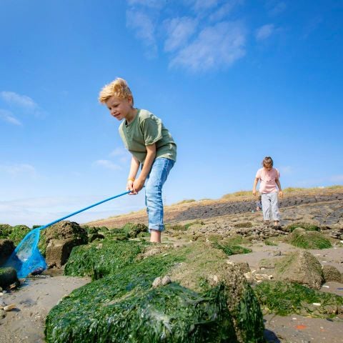 Landal West Terschelling - Camping Terschelling - Afbeelding N°3