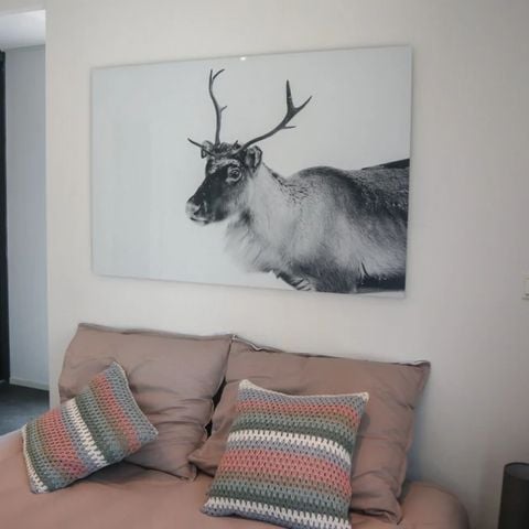 Bungalow 6 personen - Cube Maximaal