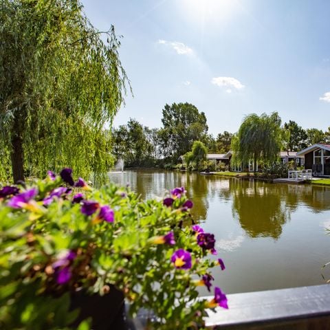 TopParken Residence Lichtenvoorde - Camping Ost-Gelre - Afbeelding N°3