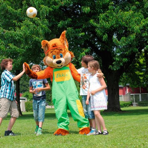 Roompot Vakantiepark Schin op Geul - Camping Valkenburg aan de Geul - Afbeelding N°2