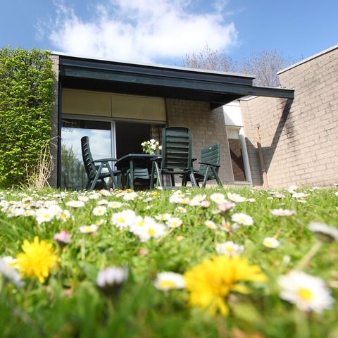 Roompot Vakantiepark Schin op Geul - Camping Valkenburg aan de Geul - Afbeelding N°2