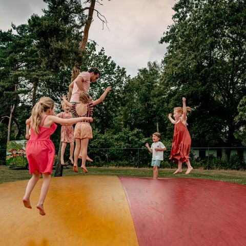 Vakantiepark Westerbergen - De Wolden - Afbeelding N°4