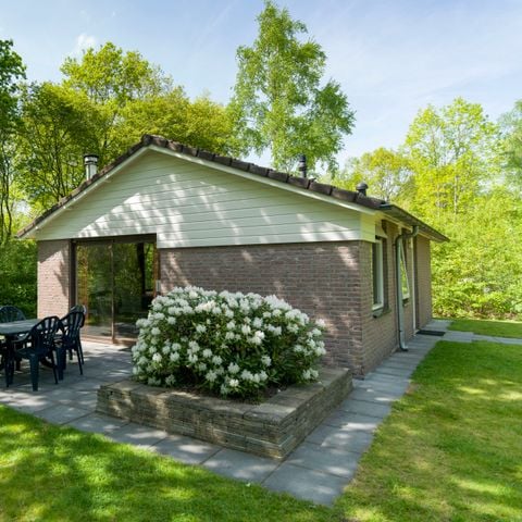 Bungalow 6 personen - Bos Kraaiheide