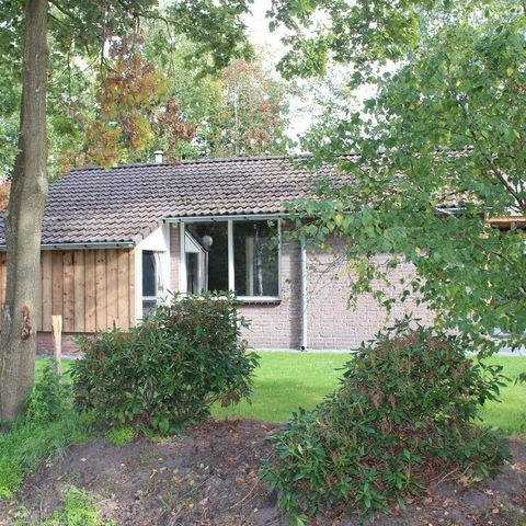 Bungalow 6 personen - Bosbungalow Veenbes