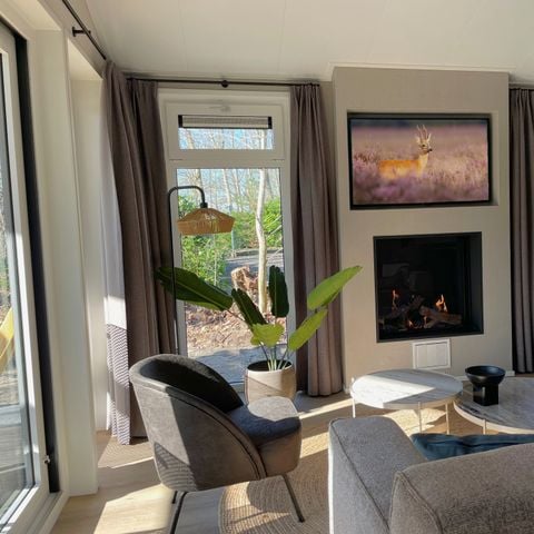Bungalow 6 personen - Bosbungalow Wilgenroos