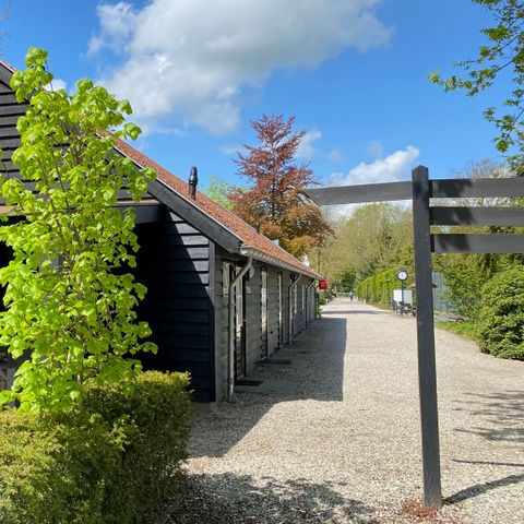 De Tabaksschuur - Camping Rhenen - Afbeelding N°5