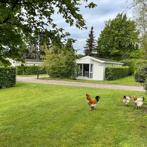 De Tabaksschuur - Camping Rhenen - Afbeelding N°6
