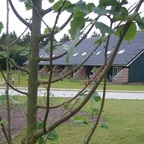 VAKANTIEHUIS 6 personen - (kinderkamer)