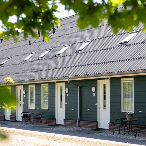 Horsetellerie Rheezerveen - Camping Hardenberg - Afbeelding N°2