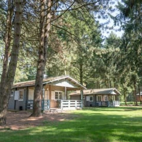 Lodge 6 personen - Finse Plus