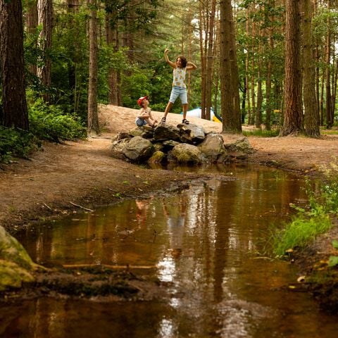 RCN Vakantiepark de Flaasbloem - Camping Goirle - Afbeelding N°5