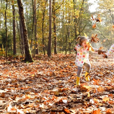 RCN Vakantiepark de Flaasbloem - Camping Goirle - Afbeelding N°3