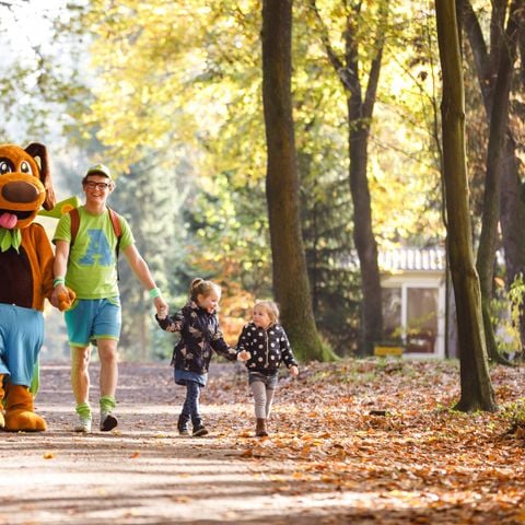 RCN Vakantiepark de Flaasbloem - Camping Goirle - Afbeelding N°3