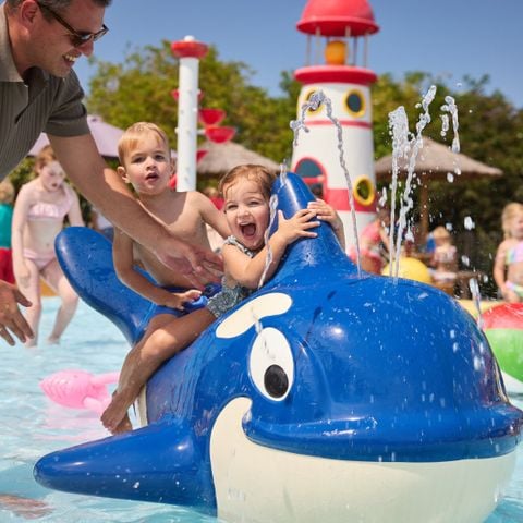 RCN Vakantiepark Toppershoedje - Camping Goeree-Overflakkee - Afbeelding N°2