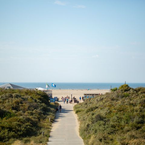 RCN Vakantiepark Toppershoedje - Camping Goeree-Overflakkee - Afbeelding N°6