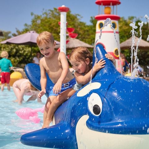 RCN Vakantiepark Toppershoedje - Camping Goeree-Overflakkee - Afbeelding N°5