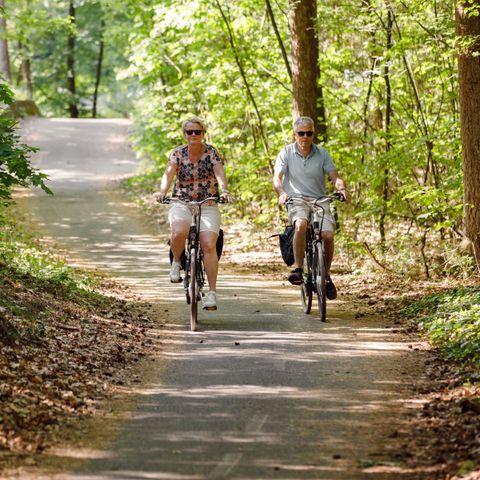 RCN Vakantiepark De Roggeberg - Camping Ooststellingwerf - Afbeelding N°3