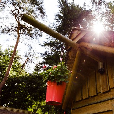 Accommodatie 2 personen - Trekkershut Jagershut