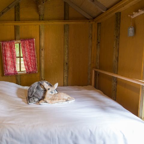 Accommodatie 4 personen - Trekkershut Jagershut