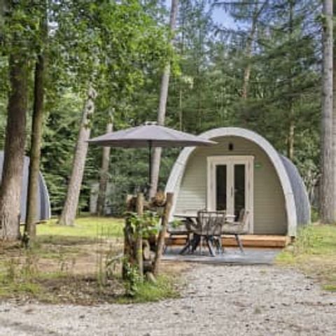 Tiny House 2 personen - Heidevlinder Pod