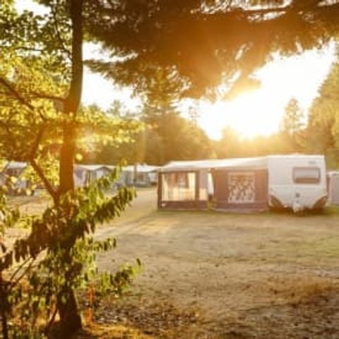 Kampeerplaats - Comfortplaats
