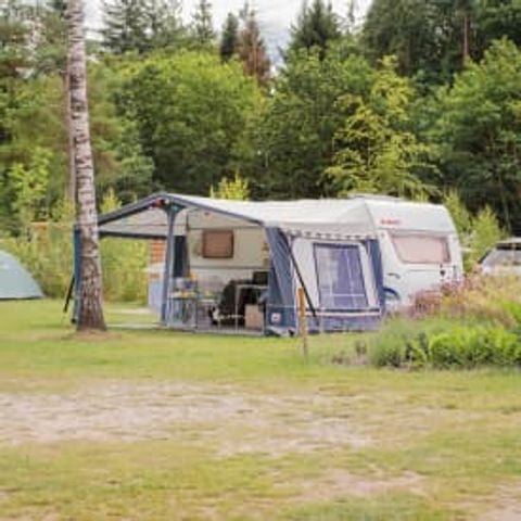 Kampeerplaats - Comfortplaats