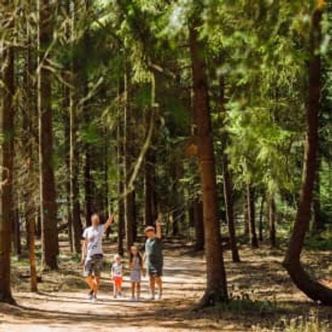 Kampeerplaats - Camperplaats