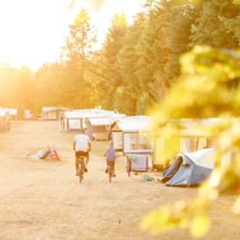 Kampeerplaats - Camperplaats