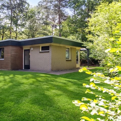 Bungalow 6 personen - Mercurius
