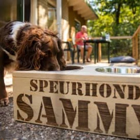 Bungalow 4 personen - Pluto (Pet)
