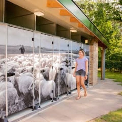 Kampeerplaats - Kampeer/Camperplaats