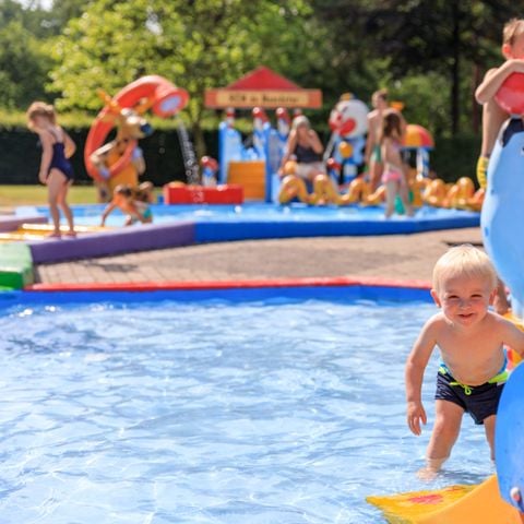 RCN Vakantiepark de Noordster - Westerveld - Afbeelding N°3