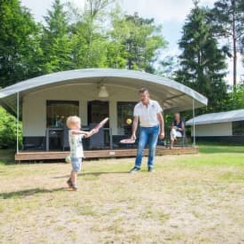 Tent 6 personen - villa Veldzigt