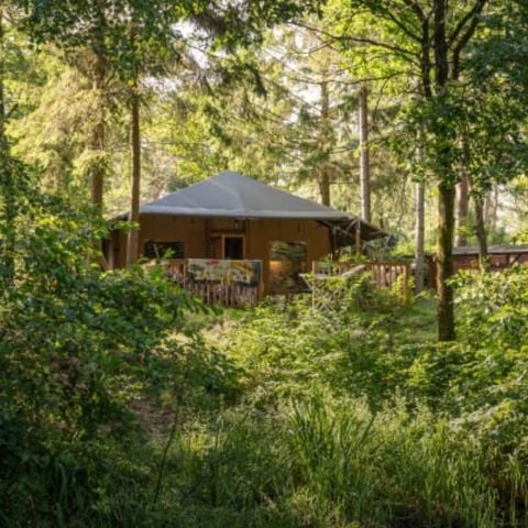 Safaritent 6 personen - Lommerlust