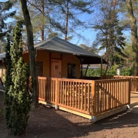 Safaritent 6 personen - Lommerlust