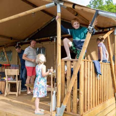 Safaritent 5 personen - Nieuweroord
